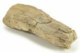 Cretaceous Petrified Wood Covered In Druzy Quartz - Texas #281755-1